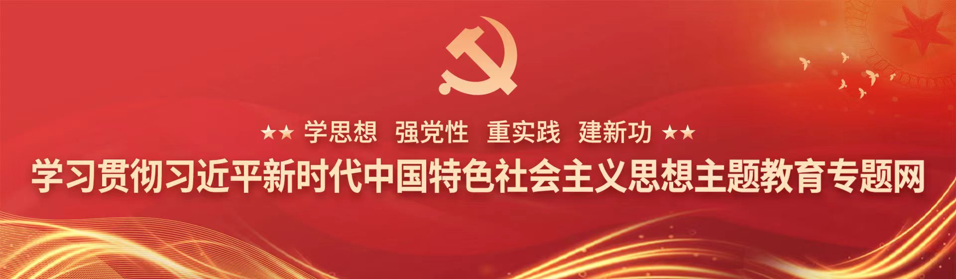 学习贯彻习近平新时代中国特色社会主义思想主题教育专题网
