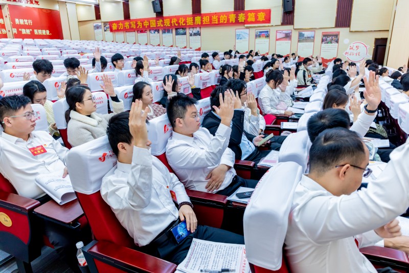 微信图片_20251130222246_278_323.jpg