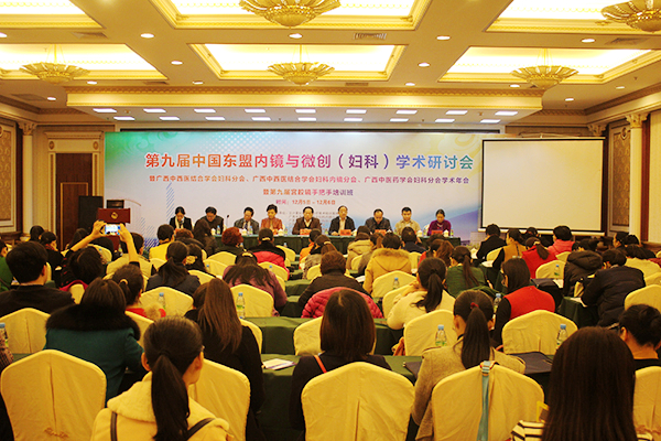 我院成功举办第九届中国东盟内镜与微创(妇科)学术研讨会