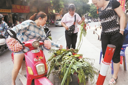 【当代生活报】端午药浴 一周两次最相宜