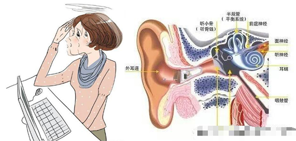 眩晕-----别忽视耳部疾病？