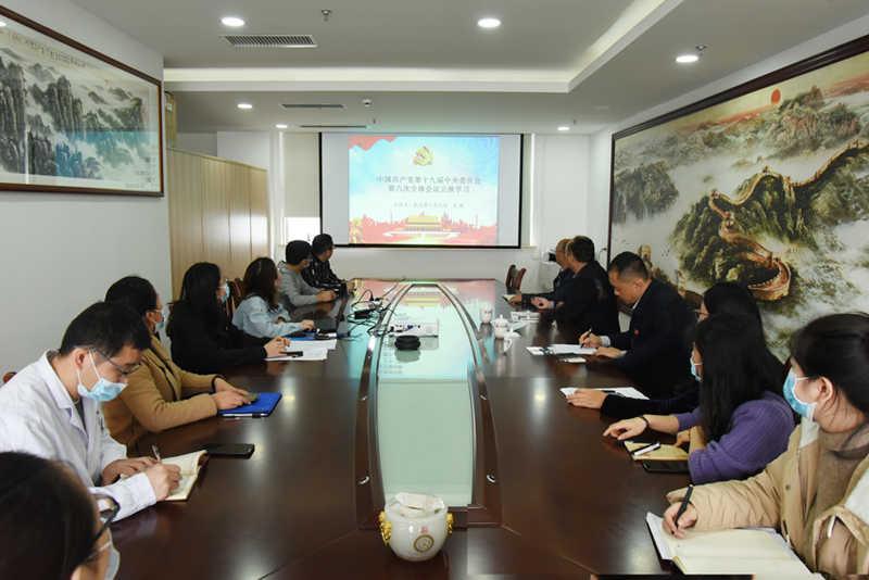 附属瑞康医院副院长宋策到所在支部宣讲党的十九届六中全会精神
