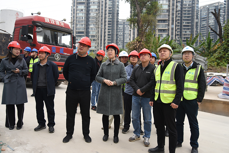 唐红珍院长到凤岭南医院项目建设工地检查指导工作