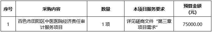 百色市田阳区中医医院经济责任审计服务项目院内磋商公告