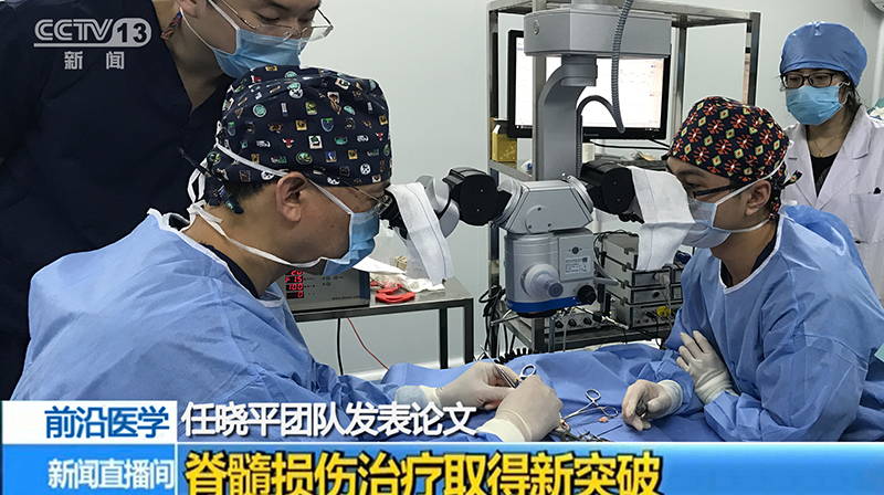 中央电视台专访任晓平团队.jpg
